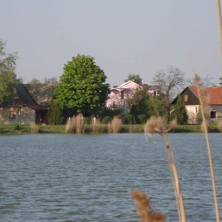 Vila Madams - Palic-Serbia Екстериор снимка