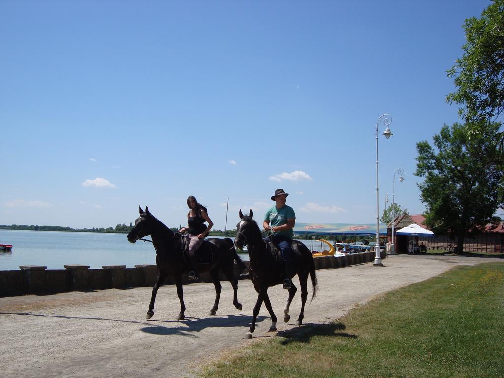 Vila Madams - Palic-Serbia Екстериор снимка