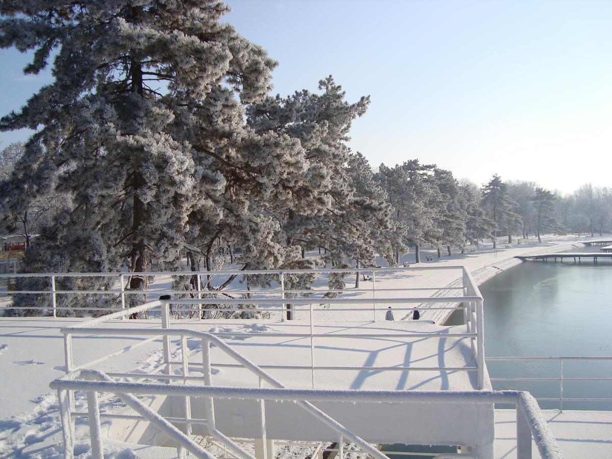 Vila Madams - Palic-Serbia Екстериор снимка