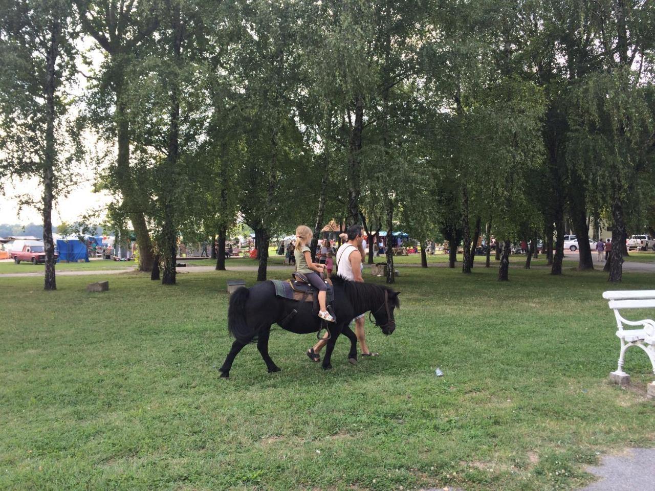 Vila Madams - Palic-Serbia Екстериор снимка